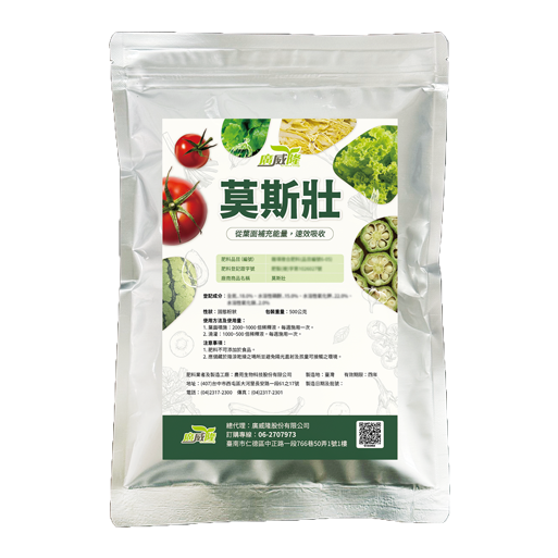 莫斯壯